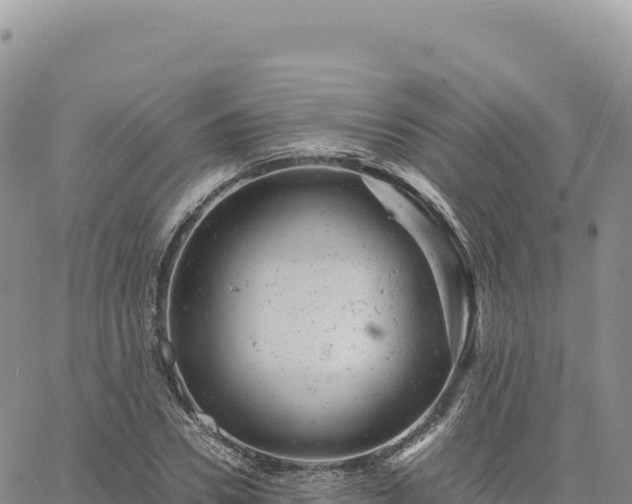 X0000061760930200512091657