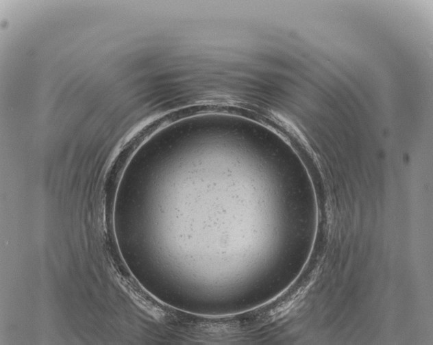 X0000061760931200512091657