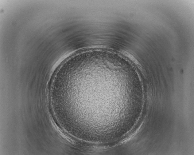 X0000061760933200512091657