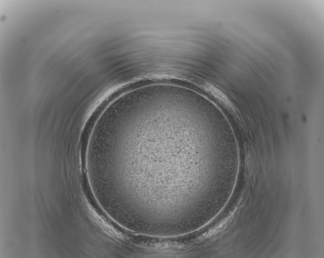 X0000061760934200512091657