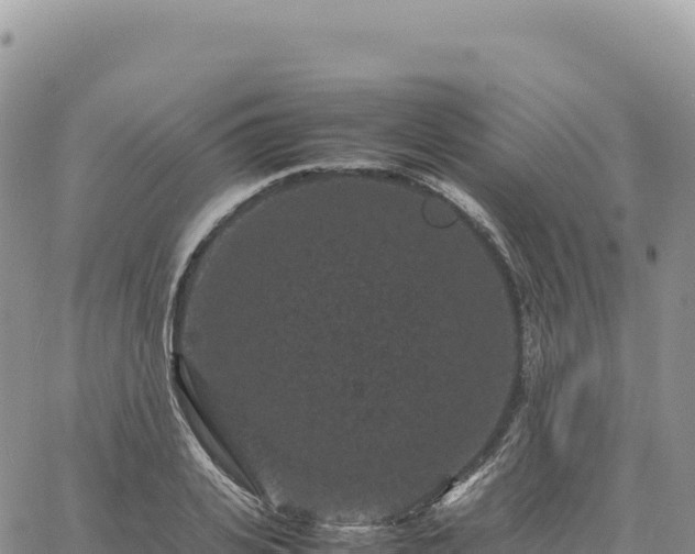 X0000061760935200512091657