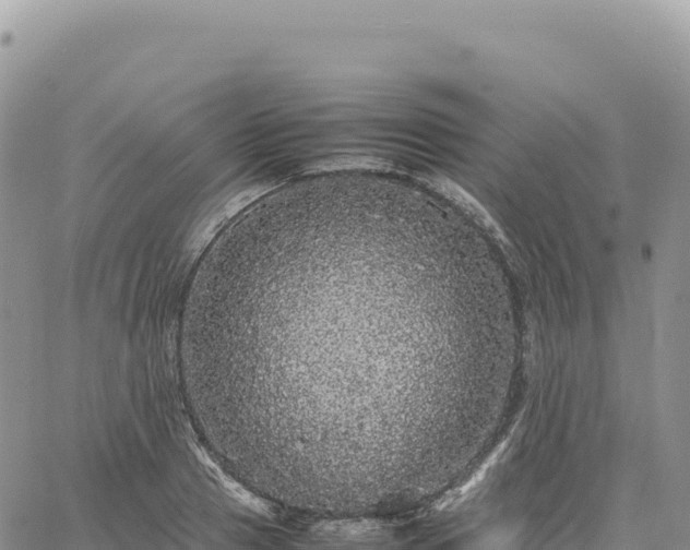 X0000061760937200512091657