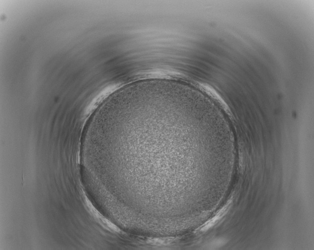 X0000061760938200512091657