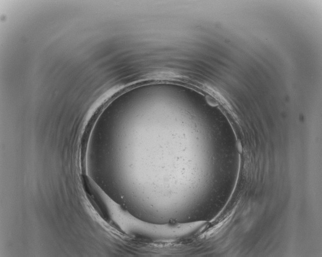 X0000061760939200512091657