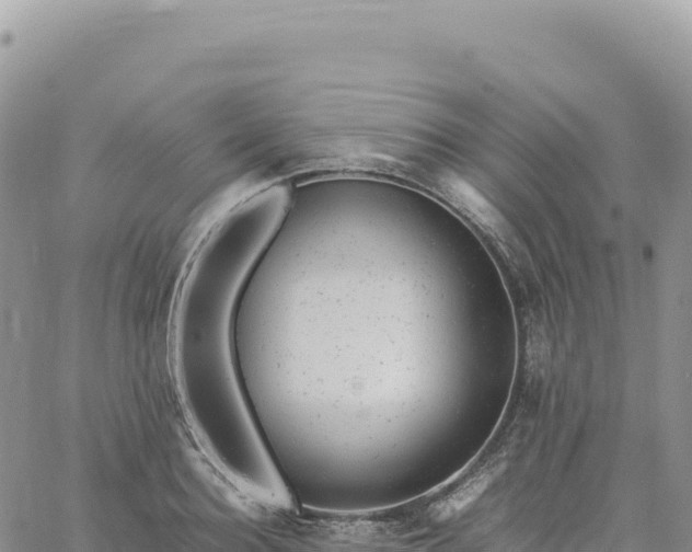 X0000061760940200512091657