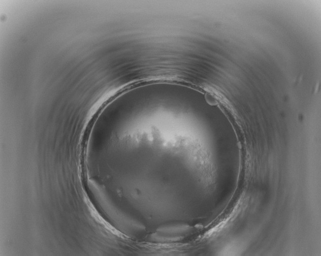 X0000061760941200512091657