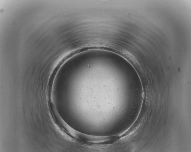 X0000061760942200512091657