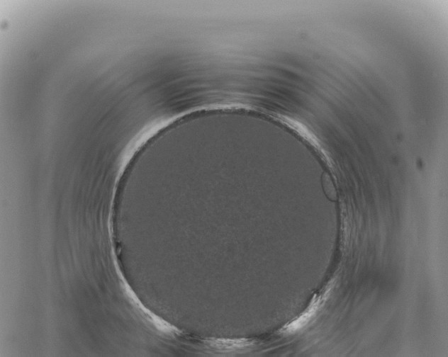 X0000061760943200512091657