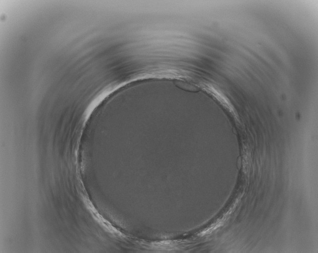 X0000061760944200512091657