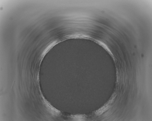 X0000061760946200512091658