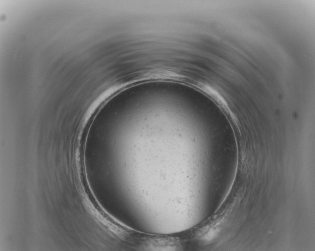 X0000061760947200512091658