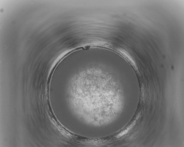 X0000061760948200512091658