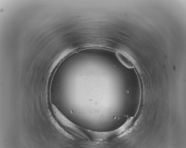 X0000061760949200512091658