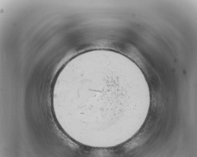 X0000061760950200512091658