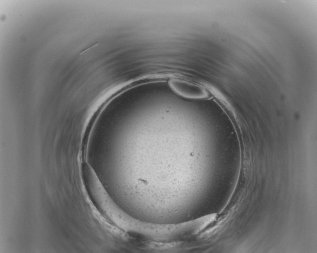 X0000061760951200512091658