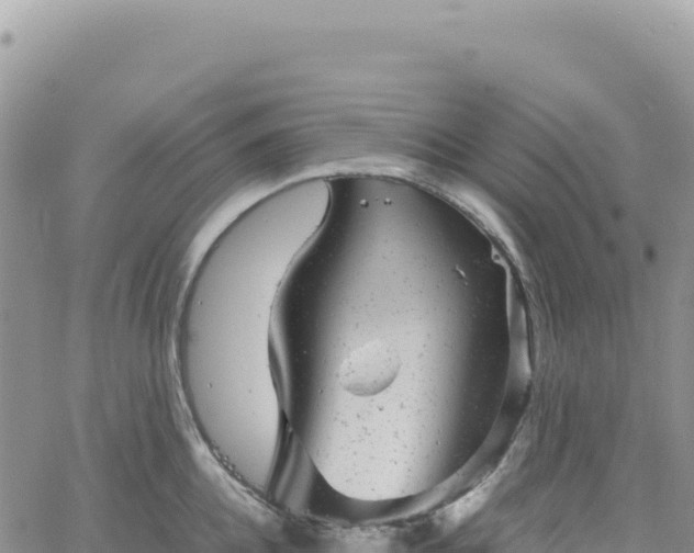 X0000061760952200512091658