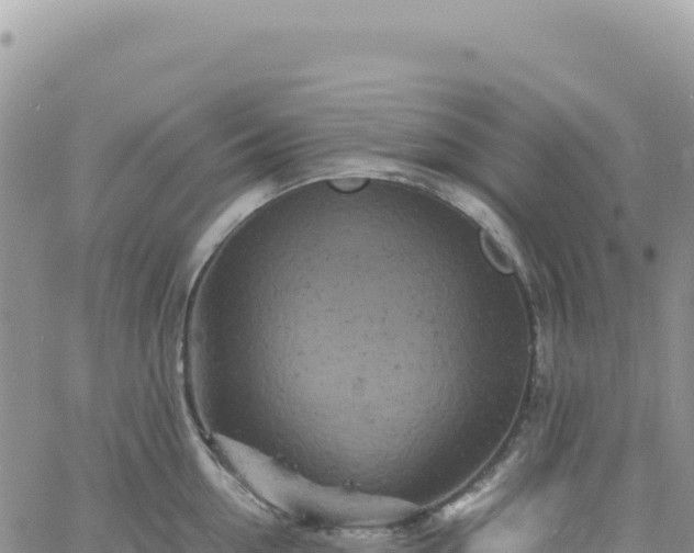 X0000061760954200512091658