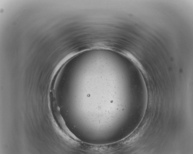 X0000061760955200512091658