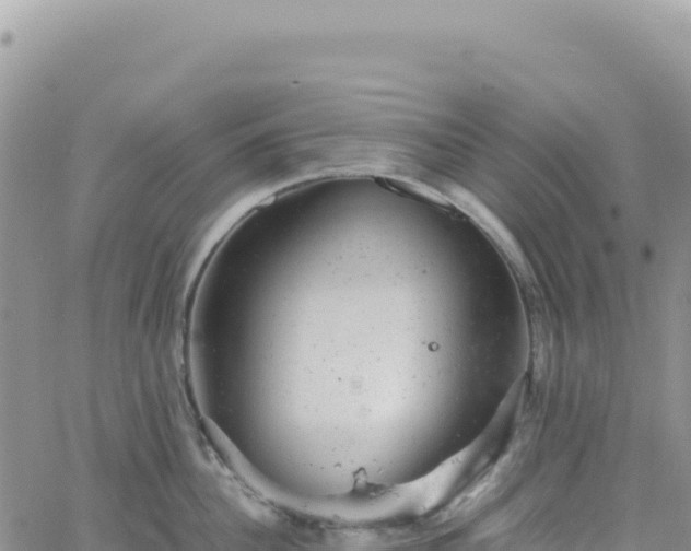 X0000061760956200512091658