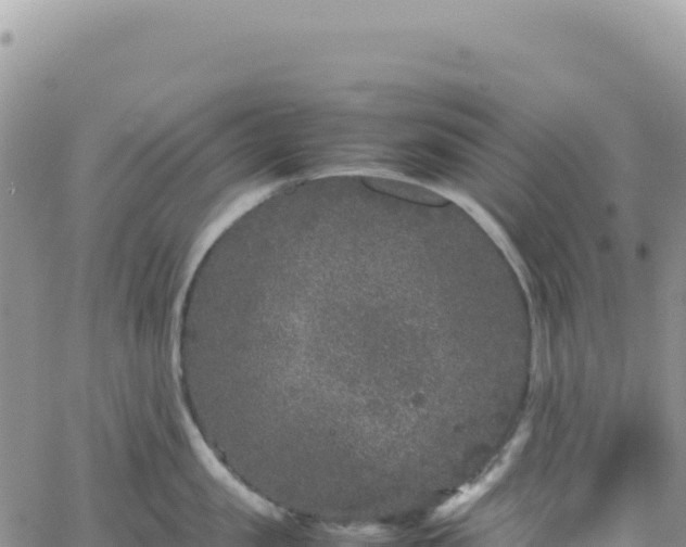 X0000061760957200512091658