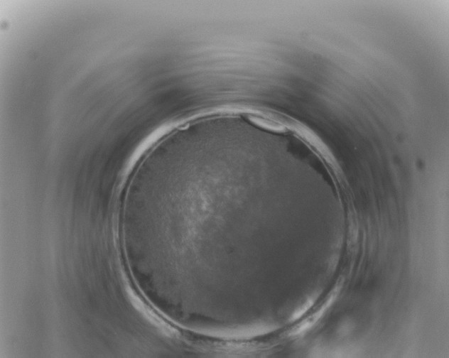 X0000061760958200512091658