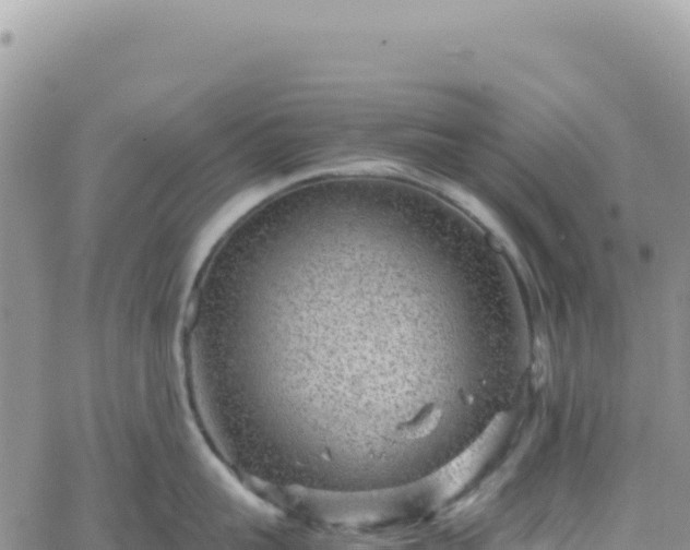 X0000061760959200512091658