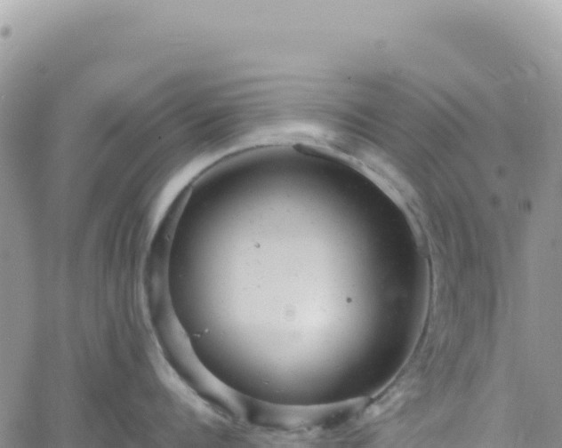 X0000061760960200512091658