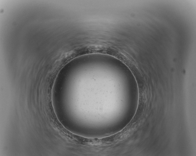 X0000061760961200512091657