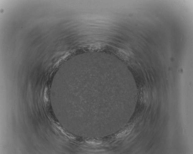 X0000061760962200512091657