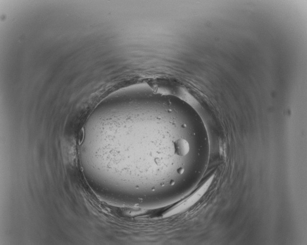 X0000061760963200512091657