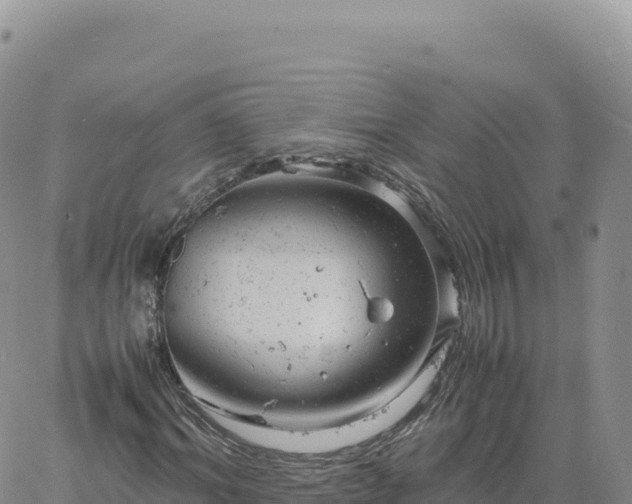 X0000061760964200512091657