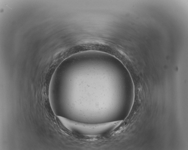 X0000061760965200512091657