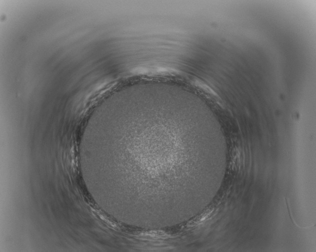 X0000061760966200512091657