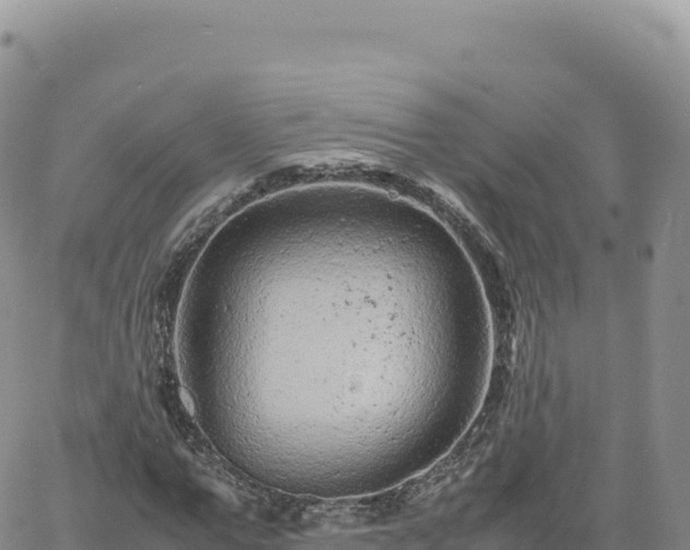 X0000061760967200512091657