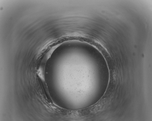 X0000061760968200512091657