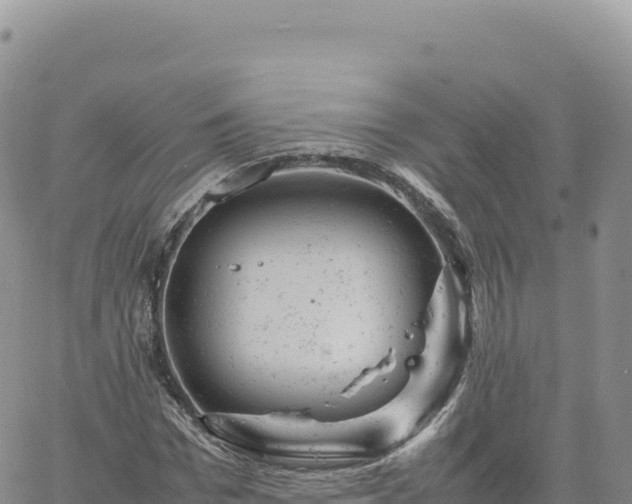 X0000061760969200512091657