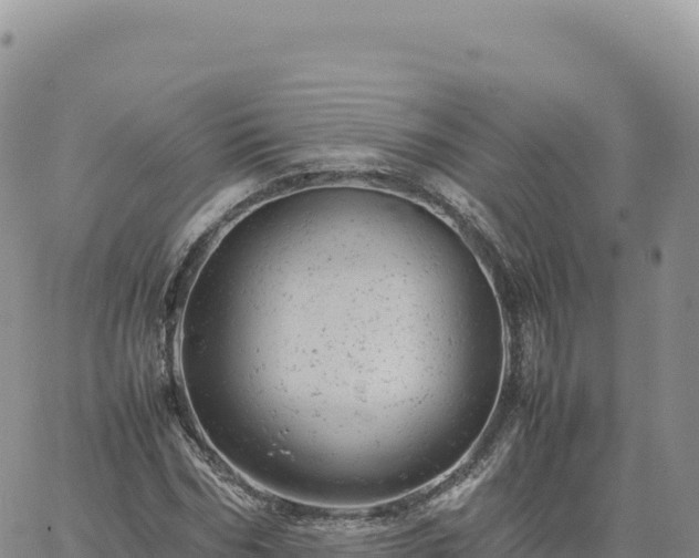 X0000061760970200512091657