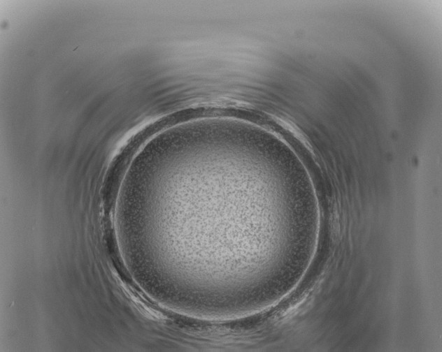 X0000061760971200512091657