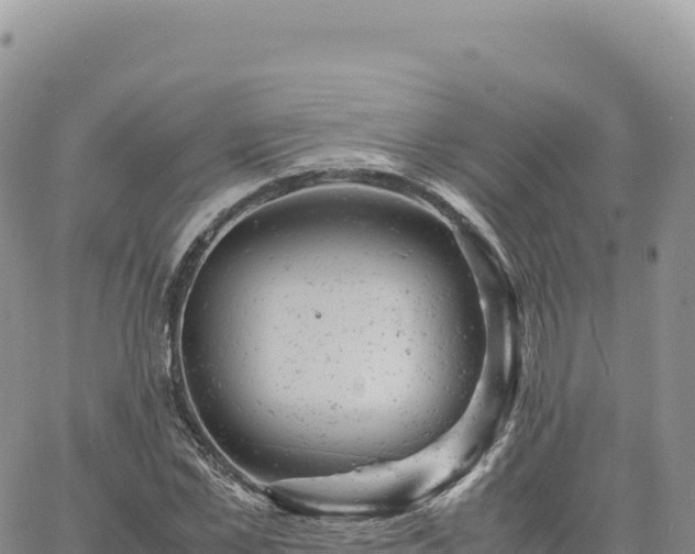 X0000061760973200512091657