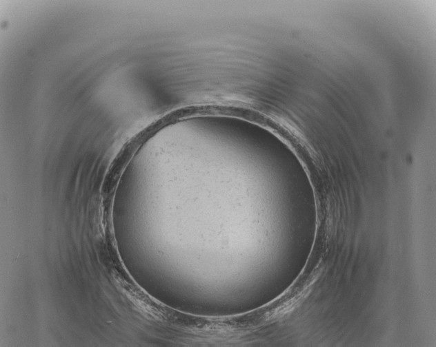 X0000061760974200512091657