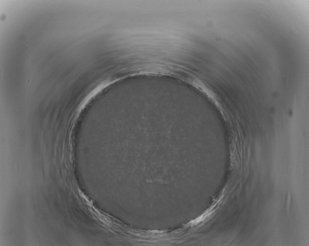 X0000061760975200512091657