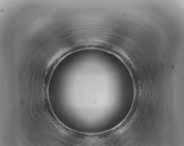 X0000061760978200512091657