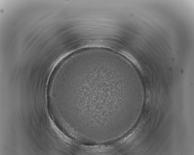 X0000061760980200512091657