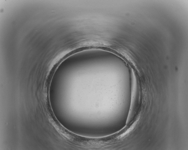 X0000061760981200512091657