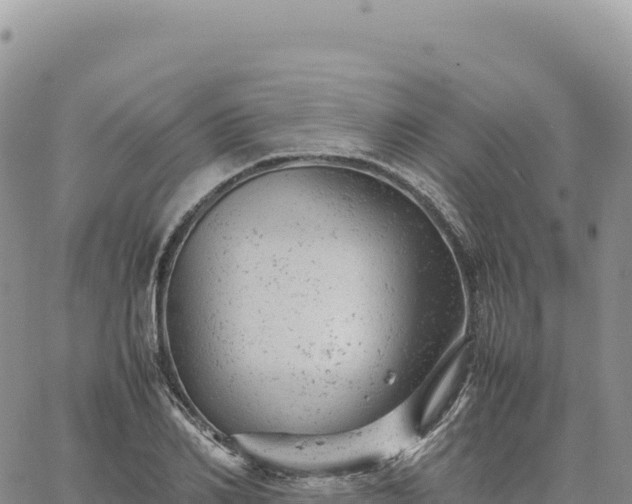 X0000061760982200512091657