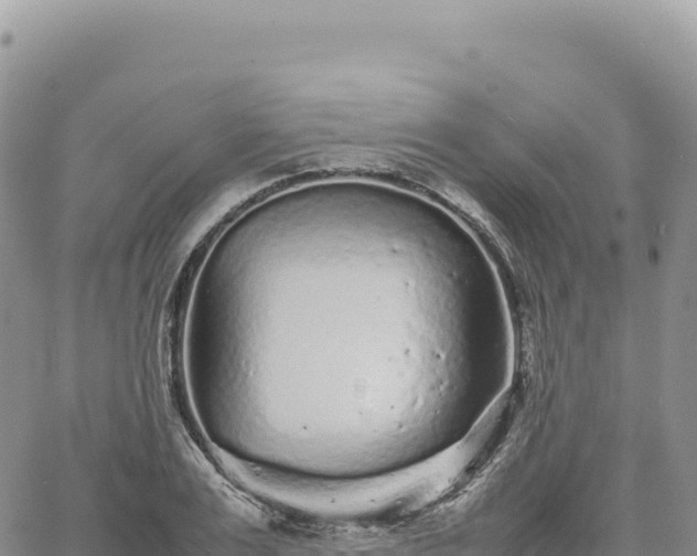 X0000061760983200512091657