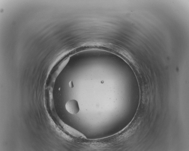 X0000061760984200512091657