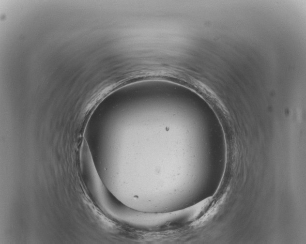 X0000061760985200512091657