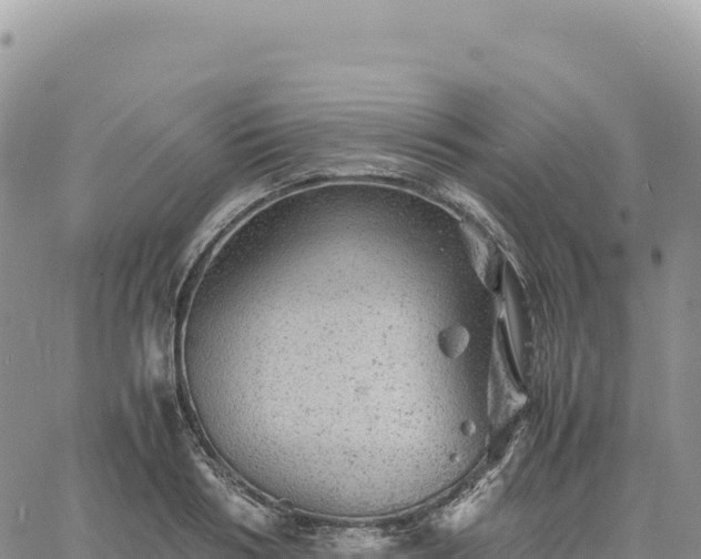 X0000061760986200512091657