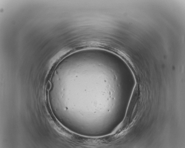 X0000061760987200512091657